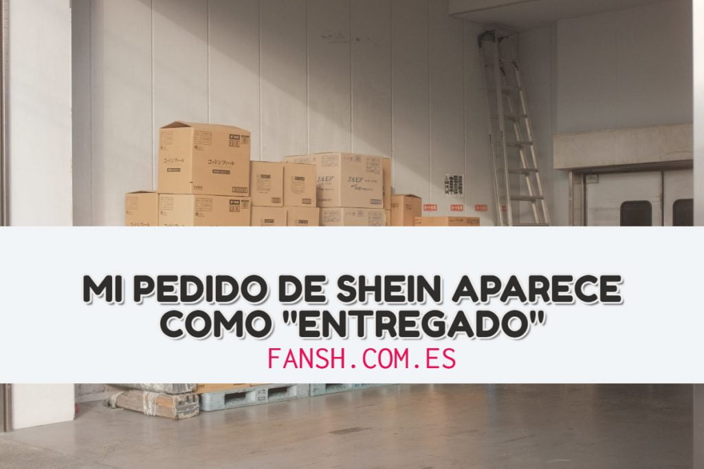 Mi pedido de Shein aparece como entregado ¿Qué hacer? | Solución 2022